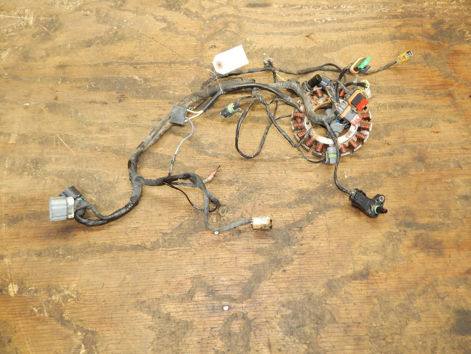 Kohler ECV860 Wiring Harness 19 176 11-S