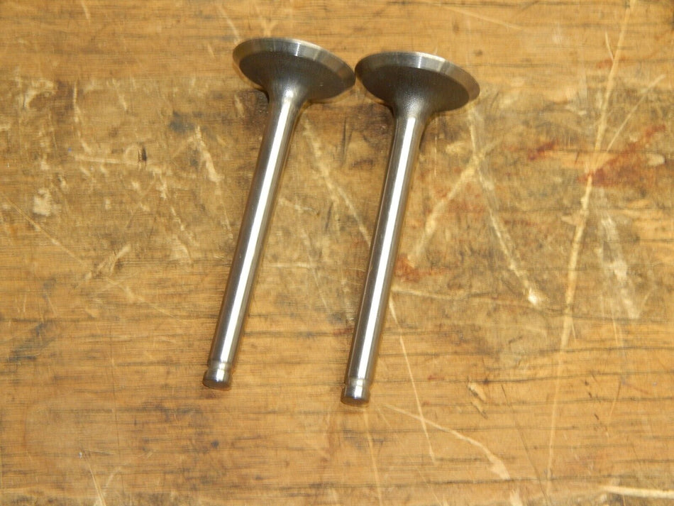 Genuine Kawasaki Set of Two Intake Valves 12004-7001