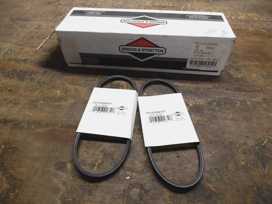 Briggs & Stratton Engine Belt 2 Pack 7012508YP