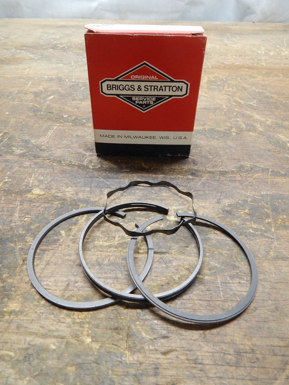 Genuine OEM Briggs & Stratton Piston Ring Set 391669